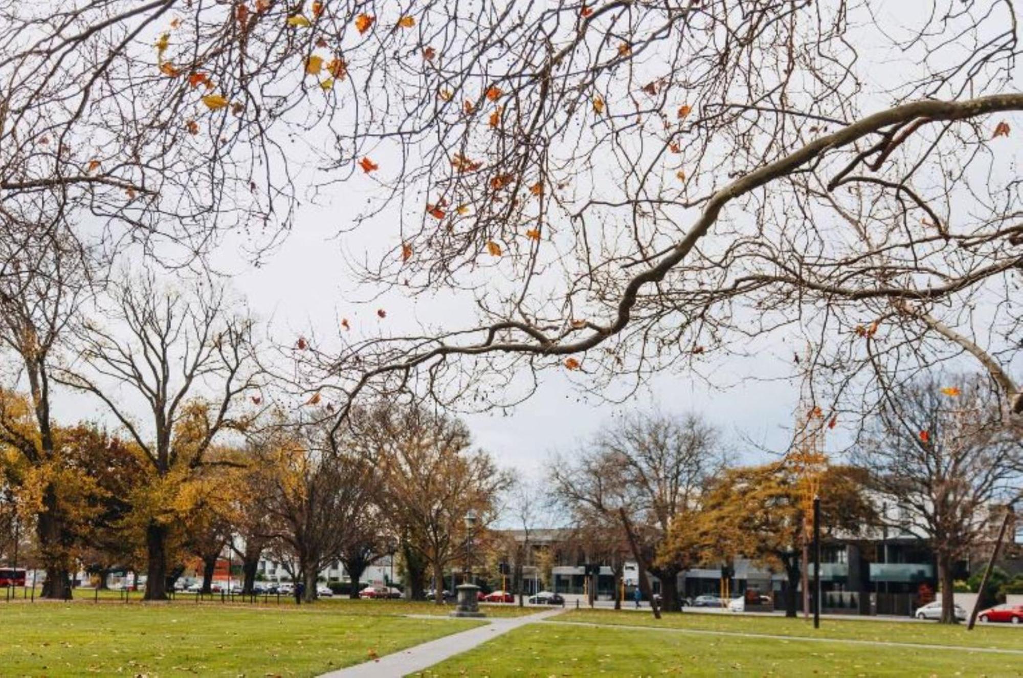 Inner City Delight Walk To Cathedral Square Christchurch Buitenkant foto